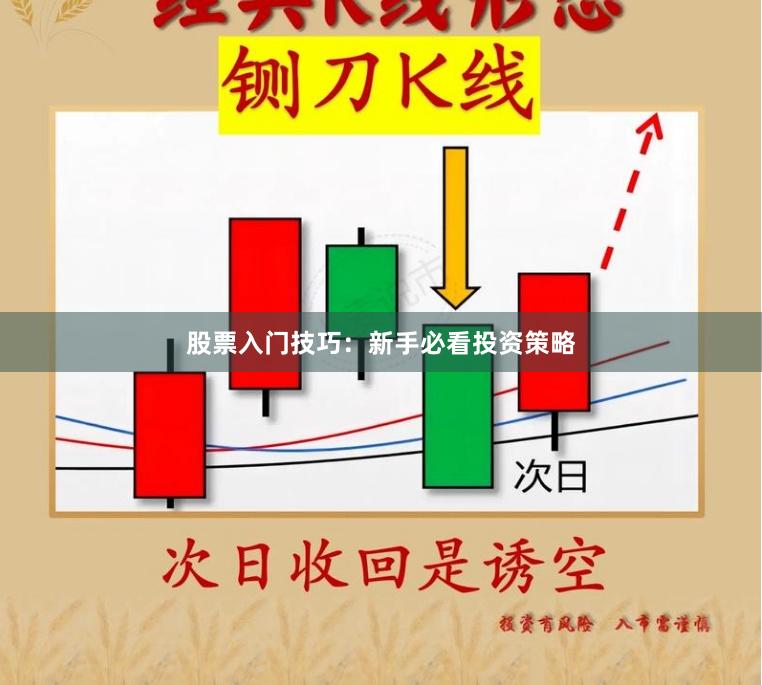 股票入门技巧：新手必看投资策略