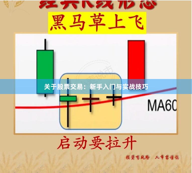 关于股票交易：新手入门与实战技巧